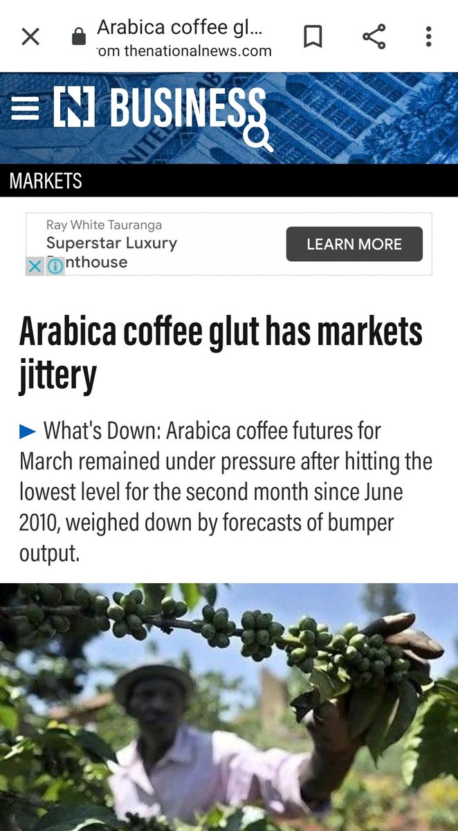 Climate change will destroy the coffee industry, the following year the coffee industry has too much product.