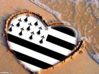 ALAN AR BRAZ tweet media
