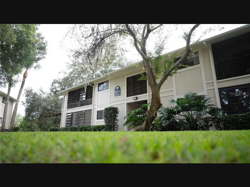 TempleTerrPatch's tweet photo. 5 New Houses For Sale In The Temple Terrace Area https://t.co/zl7iLiDA7e https://t.co/SITCKVHhnR
