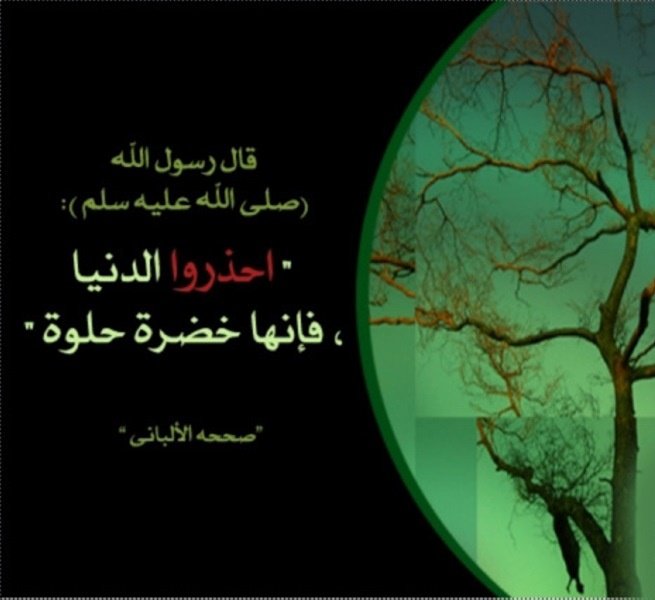 أمل المالكي tweet media