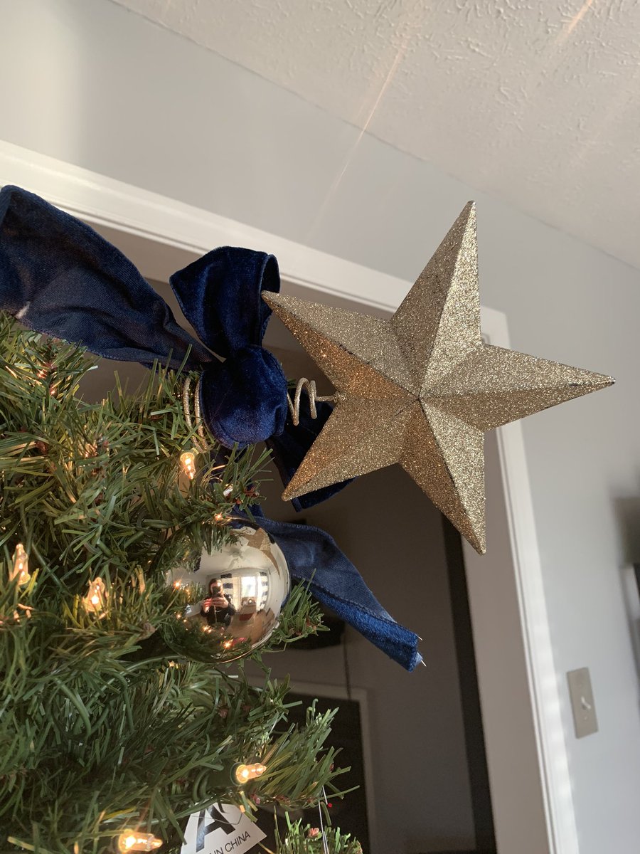 CaitlinCFRE's tweet photo. Tipped over the tree and the star got bent, and it kind of feels right. #2020fail 🎄 ⭐️ https://t.co/NKBw3Ws016