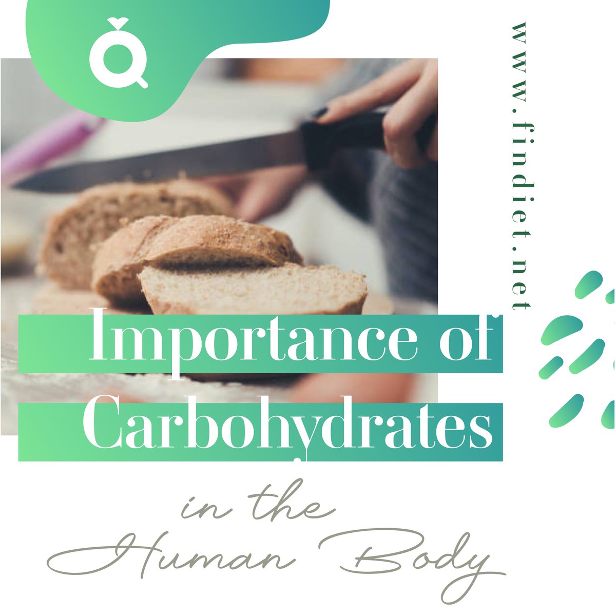 Importance of Carbohydrates in the Human Body
findiet.net/importance-of-…

#diet #Carbohydrates #carbs #nutritionist #weightloss #healtynutrition #healthyfoodblog #mealplans #healthyeating #diettips #healthyeating #HealthyEating