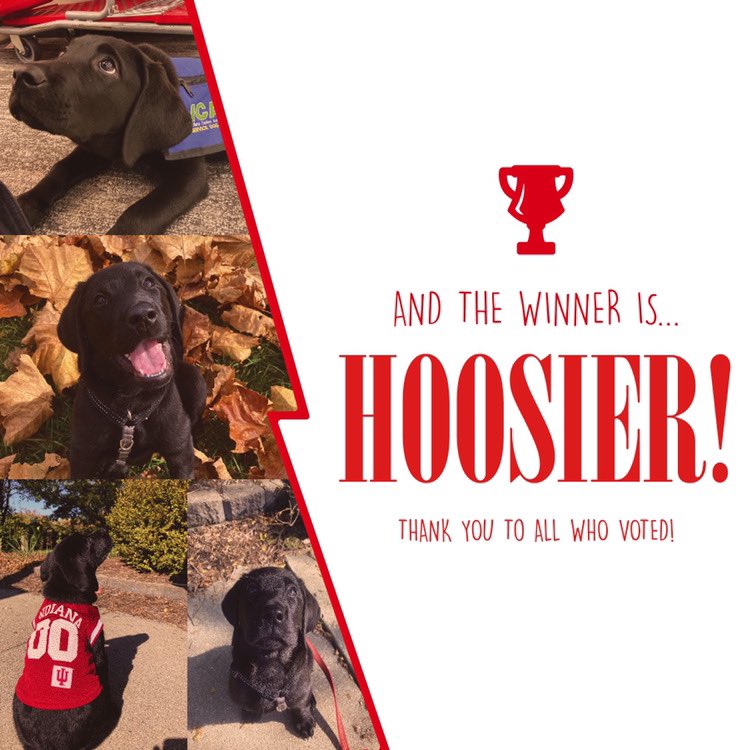 Thanks to everyone’s votes, we can officially tell you that our sponsored puppy’s name is HOOSIER! 🥳  This pup is going to do great things, and we’re so proud to be able to sponsor him. Stay tuned to our stories TOMORROW to see a day in Hoosier’s life as a pup-in-training!!! 🐾