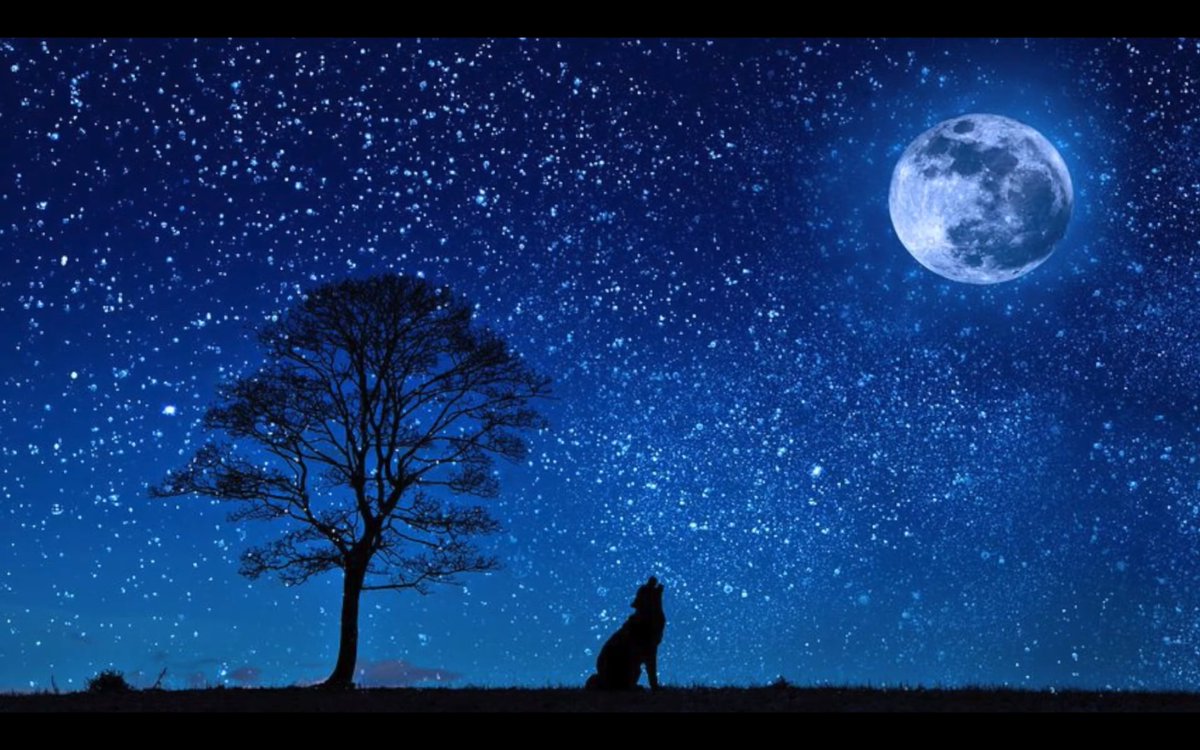 The Fortune tellerz tweet media