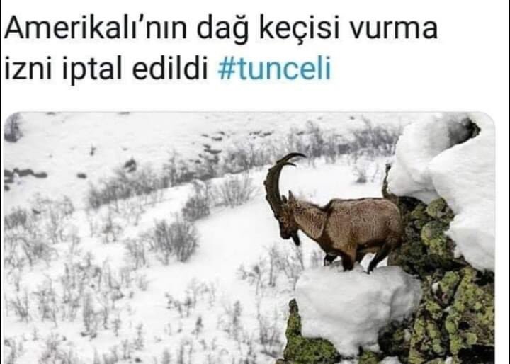 Haytapa karşı yorumlarında milliyetçilikte kül edebiyatta fasikül bırakmayan, kendilerini ülkenin ikinci büyük milis gücü kabul eden avcılar yine sus pus... 

#AVCİNAYETTİR
#haytap
#hayvanhaklarıfederasyonu
#yaşamellerinizde
#hayvanhakları
#av