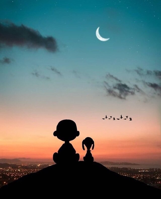 emwowo's tweet photo. GUTE #NACHT NORDI 😇 .. SCHLAF GUT &amp; #STARTE GUT IN DEINE NEUE #WOCHE 😷 .. BLEIB GESUND ! https://t.co/TDCftns3Bh