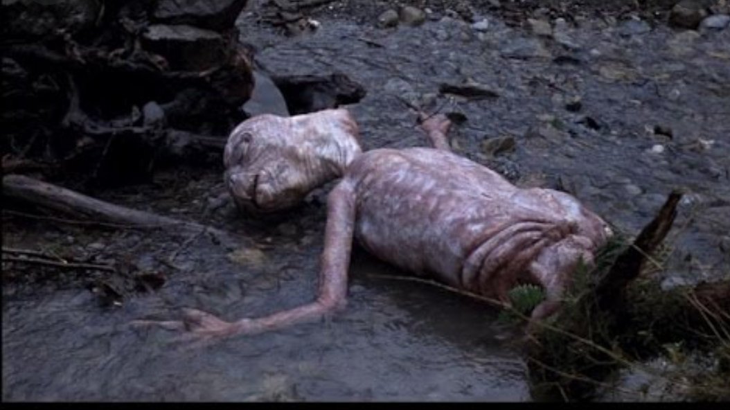 ndrichter's tweet photo. @CyleLagerwall @corey_schultz @Miljmak @CummingsK21 @Madsen2525 Live look at Lags today. Hope you feel better https://t.co/ibISgfSbh6