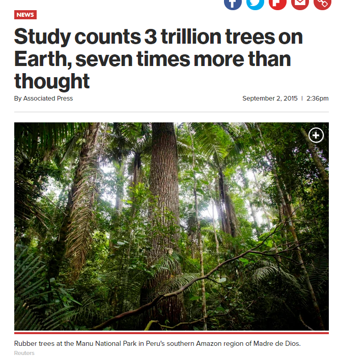 We can't even count the trees!