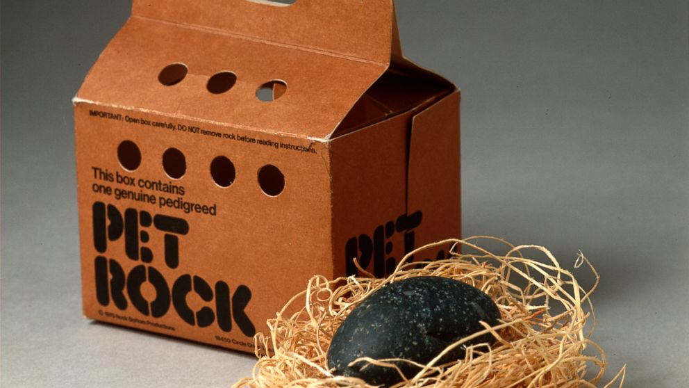 People actually bought #petrocks??? It was an actual toy??? I thought a pet rock was just a rock you picked up off the ground and brought home. #MyGutIsTellingMe I underestimated humanity.