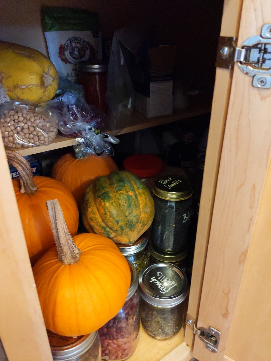 The skinny door cabinet is my dry goods/deep storage. It's dry, cool, and dark. And also large enough to fit an adult human inside if they can get in the door...