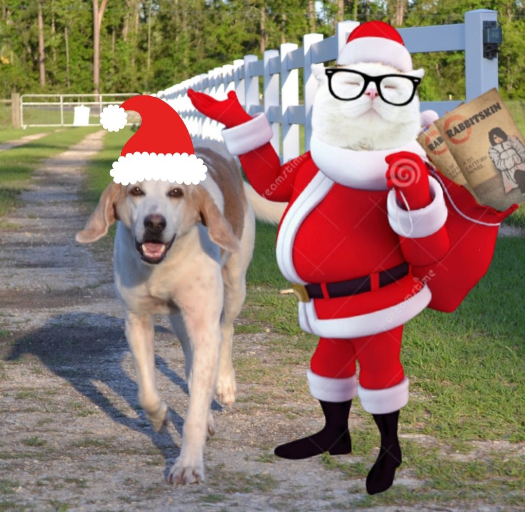catturd2's tweet photo. Merry Early Christmas from the Catturd ranch. https://t.co/TrruHu3CQg