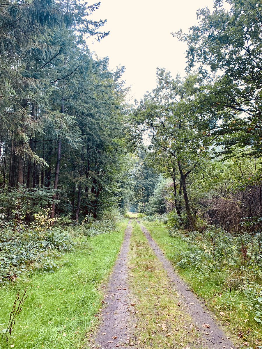 McBurn's tweet photo. @Steffi721981 #Wingst ... schöne Ecke zum Wandern! https://t.co/6uUDKD9ZHe