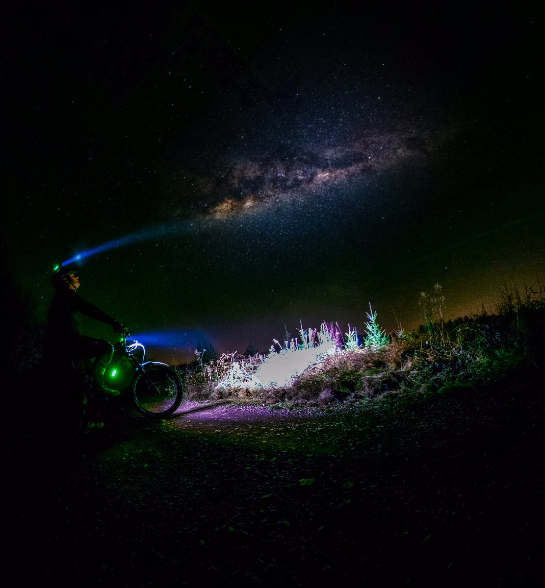 Forest of Dean MTB tweet media