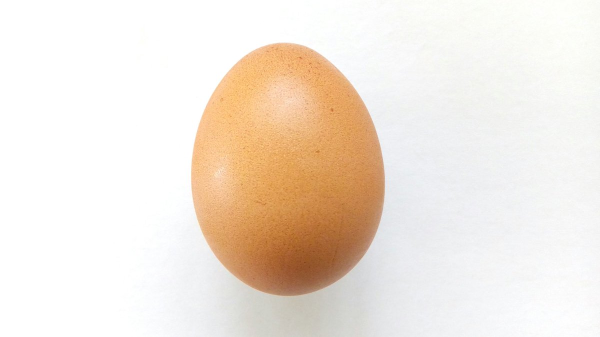 me (playing it cool)uncooked egga blank canvas with so much potential. kind of sits on their ass a lot of the day though