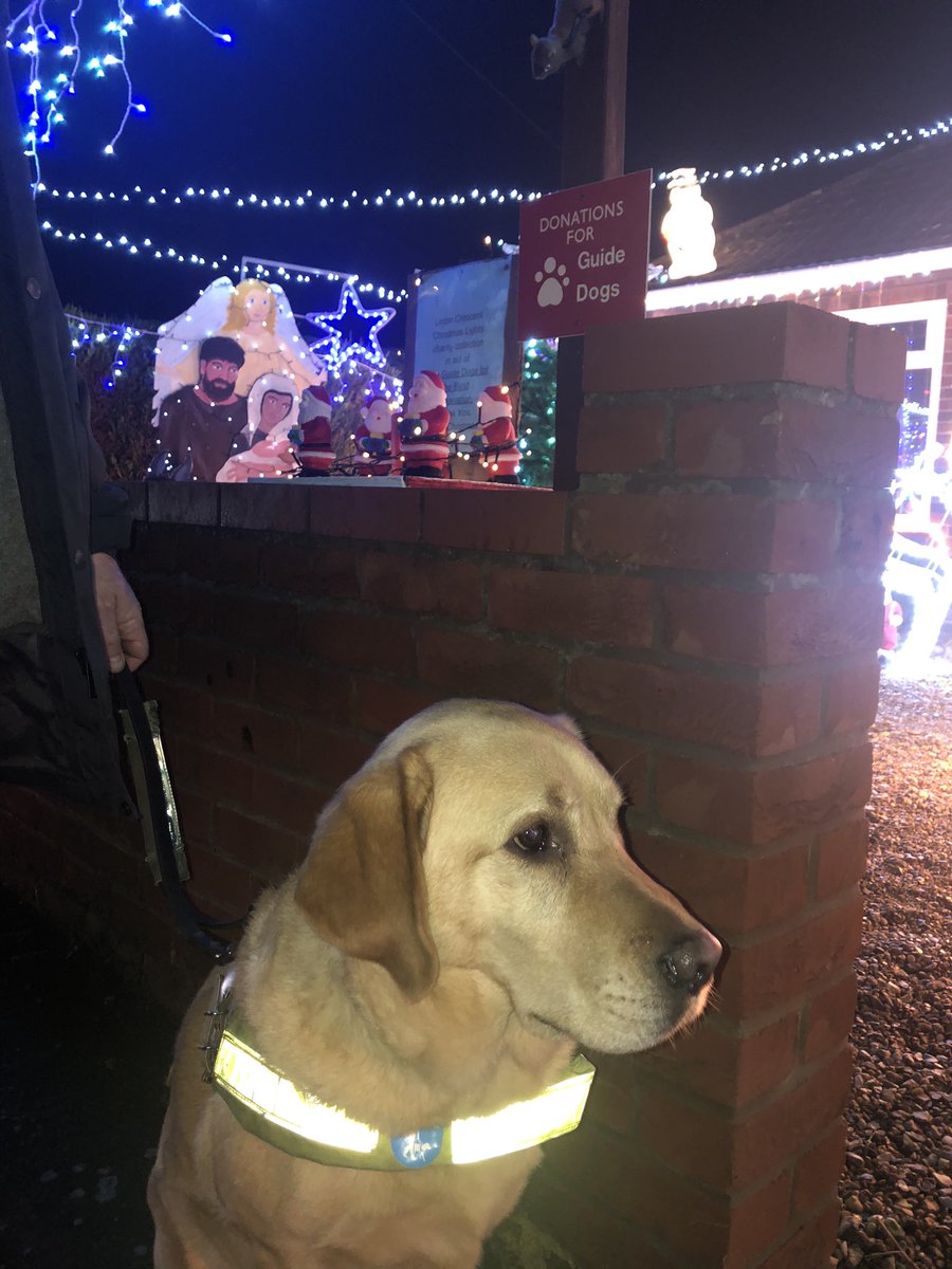 This evening we visited the amazing light display in Sprowston arranged by Tony and Jeanette Fairweather in aid of <a href="/guidedogs/">Guide Dogs</a> 
🦮 💫 
They’ve also set up a justgiving page: 
Thank you! 
justgiving.com/fundraising/li…