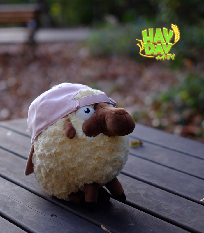 ヘイ デイ公式 おはようございます 今日は 大雪 といって 本格的に冬が到来する頃と言われています 寒そうなのでヒツジさんに帽子を被せてみようと思うのですが どちらが似合いますか ニット帽派はリツイートをタップ キャップ帽子派は いい