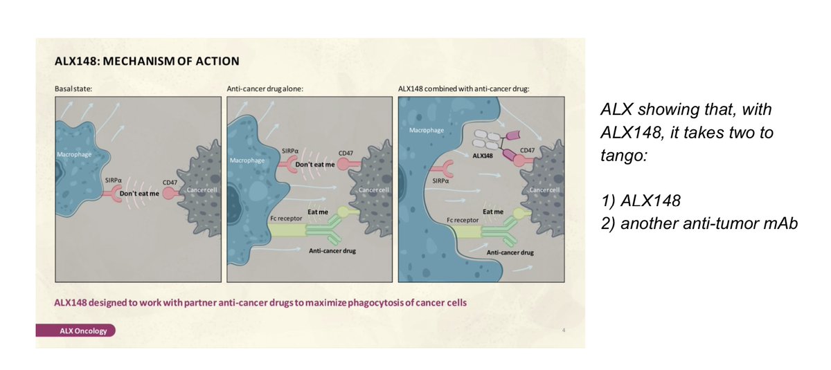  $TRIL  $ALXORather, for ALX148 to "work," it takes two to tango:- ALX148 to inhibit CD47- another anti-tumor modality (e.g. mAb) to target tumor and propagate cytotoxic activity: