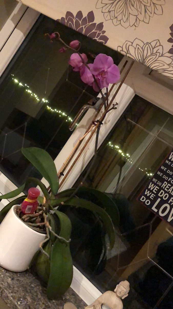 ✨Alison Wardley💙RGN/RSCN, SPQ (CCN), QN, NMP (@alison_wardley) on Twitter photo Day 1/7 - I've been nominated by most inspirational boss ever <a href="/CCNHazelDean/">Hazel Dean 💙</a> to produce a picture for 7 days to demonstrate my daily life (no people) Today I nominate the fabulous <a href="/RachelBoard6/">Rachel Board</a> to take time out of studying to run with it! Day 1/7 - I've been nominated by most inspirational boss ever <a href="/CCNHazelDean/">Hazel Dean 💙</a> to produce a picture for 7 days to demonstrate my daily life (no people) Today I nominate the fabulous <a href="/RachelBoard6/">Rachel Board</a> to take time out of studying to run with it!