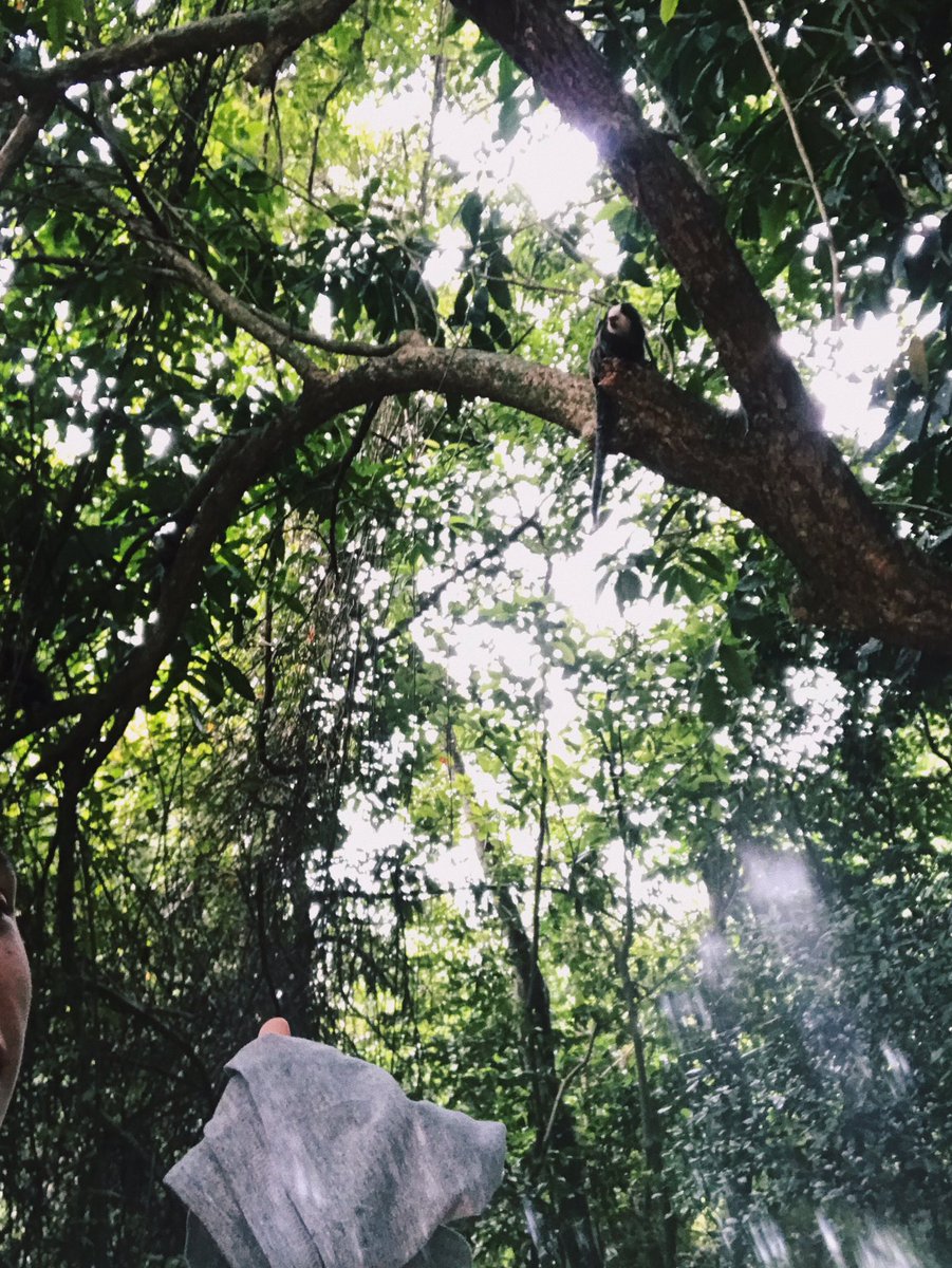 brunin_alc's tweet image. favorite spot.