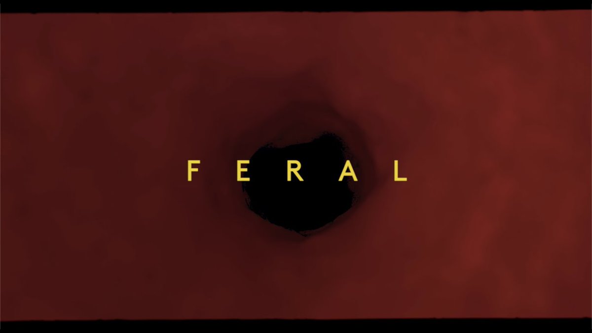 Ear Jelly tweet media