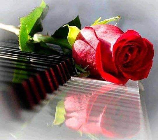 ‏‏‏ريمہ. tweet media