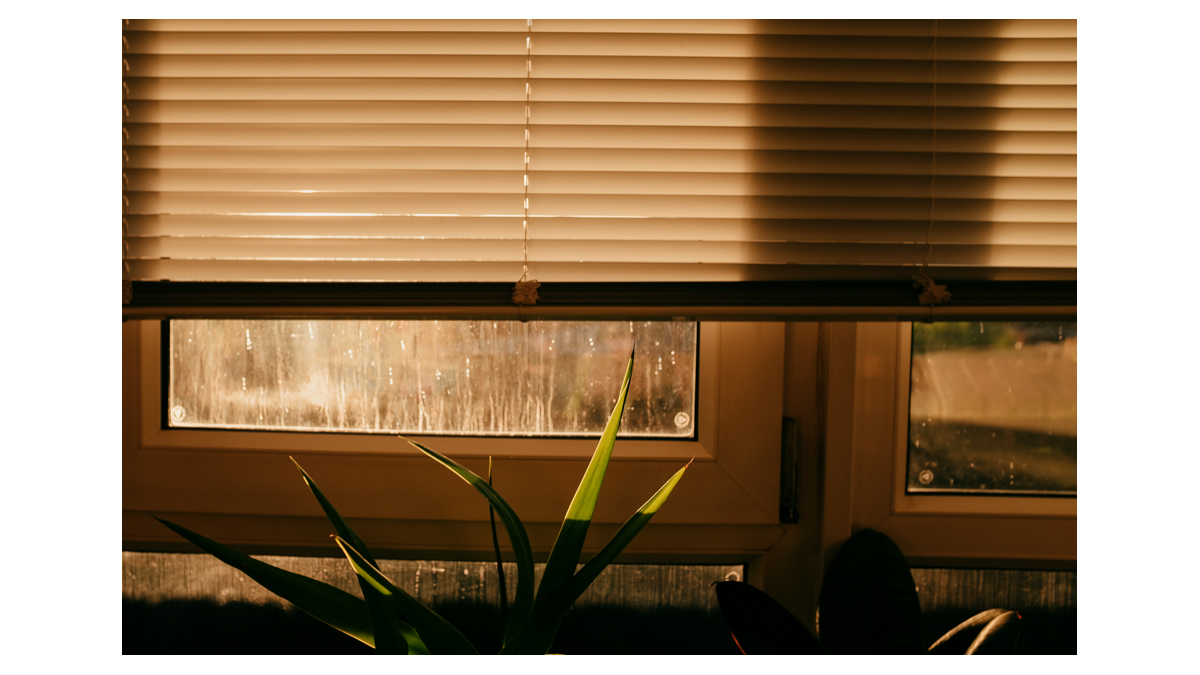 11/ A focus on The Local fulfills the artist‘s primary purpose — to point a finger and say, 'look again'. Look at the things that were too close, too mundane, or too familiar to be visible to the unengaged eye.