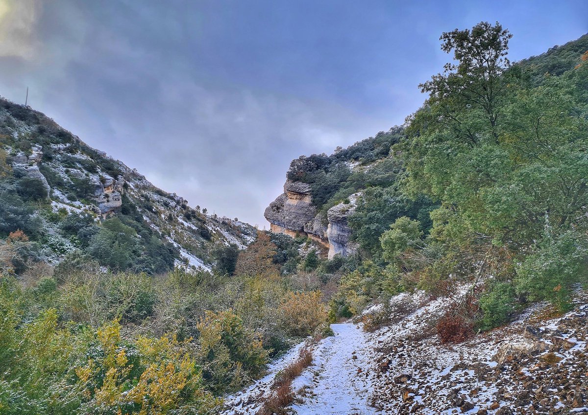 pd_diaz's tweet photo. "Huellas Níveas" ❄️🏞️
·
·
#Nieve en el #sendero del #ValledelasCantabranas y #mirador de #Valdelapelilla. #PadronesdeBureba, #Caderechas ~ #LaBureba, #Burgos.
·
[#cascadadelahuevera, #sierradeoña / #burgosenelmundo, #estoes_burgos_ / #cyl, @cylesvida]. https://t.co/9gEA3jtNx1