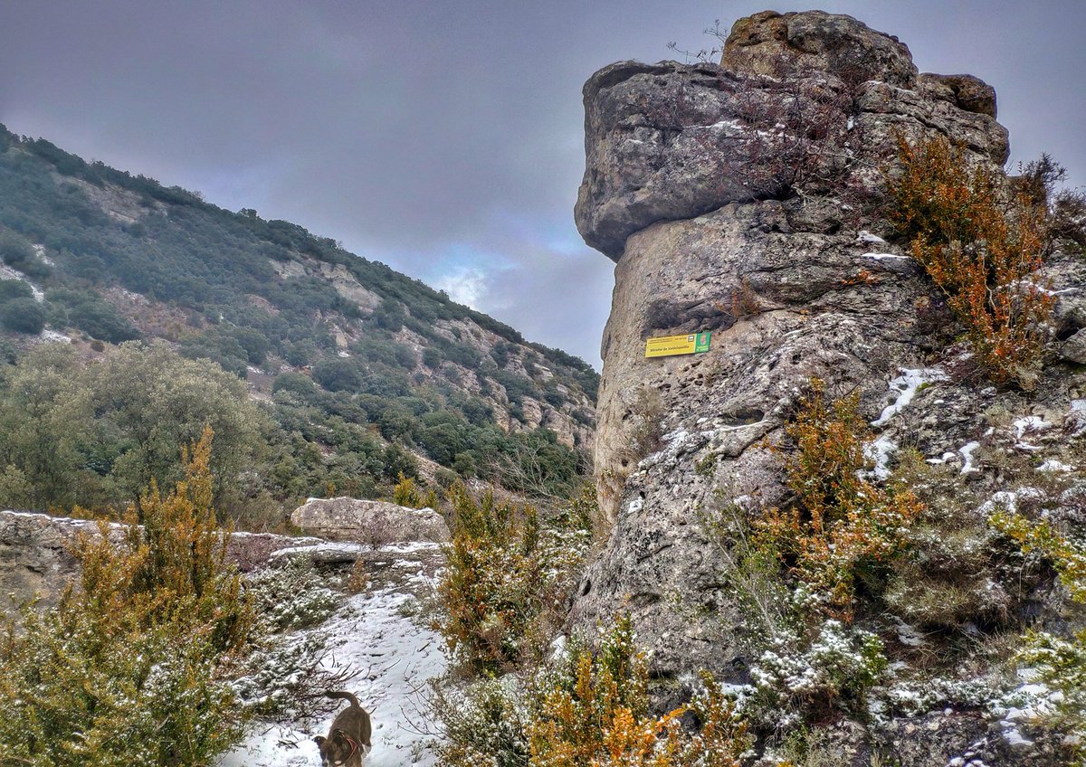 pd_diaz's tweet photo. "Huellas Níveas" ❄️🏞️
·
·
#Nieve en el #sendero del #ValledelasCantabranas y #mirador de #Valdelapelilla. #PadronesdeBureba, #Caderechas ~ #LaBureba, #Burgos.
·
[#cascadadelahuevera, #sierradeoña / #burgosenelmundo, #estoes_burgos_ / #cyl, @cylesvida]. https://t.co/9gEA3jtNx1