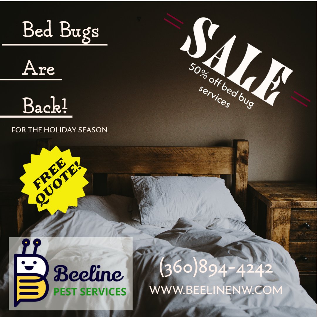 Beelinenw's tweet photo. Bed bugs have returned for the Holiday Season. Protect yourself today with Beeline Pest Services. No hassles or long-term contracts. Call today for a free quote! https://t.co/4gBubpUFr0