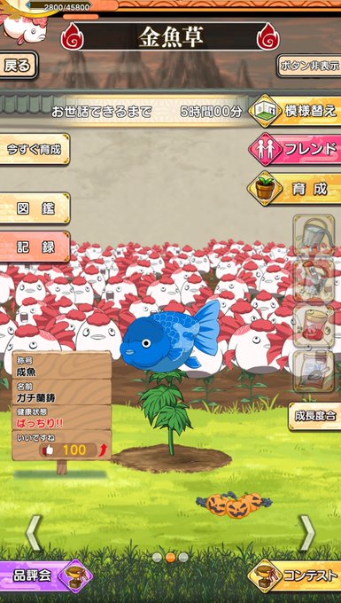 鬼灯パズルのtwitterイラスト検索結果