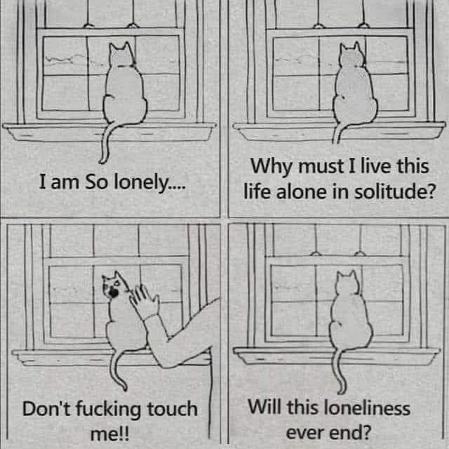 Gemini, Virgo, Capricorn &amp; Scorpio placements be like: