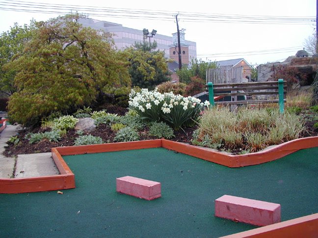 TheMoCoShow's tweet photo. Age yourself with a MoCo establishment.

I’ll start...

Putt-Putt (Rockville) https://t.co/NN4iETW3m3