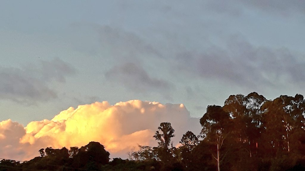 fotos_porai's tweet photo. Andando e fotografando poraí! #Marau #fotos #entardecer #nuven #céu #perfeito https://t.co/mKfr6CRtMb