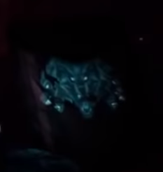 each group has their own colors and animals as well. tbz has blue and a snake, skz has red and an eagle, and ateez has green and cerberus.