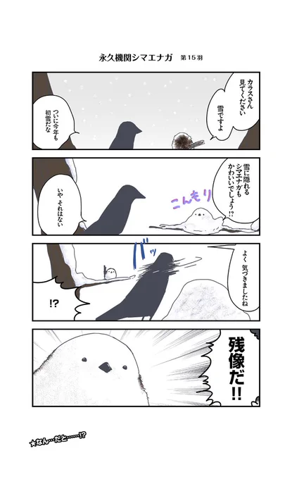 【月～金/平日毎日連載!!】青春(あおはる 
@awoharu

『シマエナガとカラスさん』第15羽  #永久機関シマエナガ #シマエナガとカラスさん 