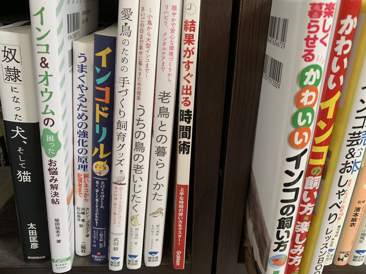 やまいだれ 私はエクスナレッジやパイインターナショナルの写真集が好き