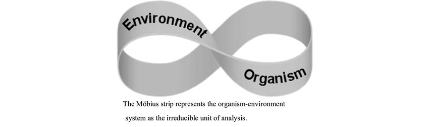12) “main aim is to improve engagement in functional tasks, & such aim cannot be achieved by con- sidering the individual or the organism in isolation from its context.