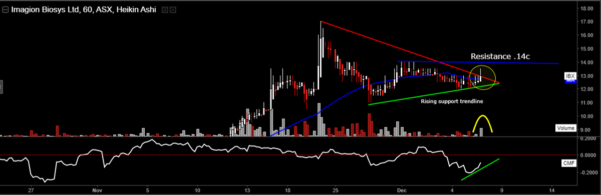 Michael Maserati 🔱 tweet media