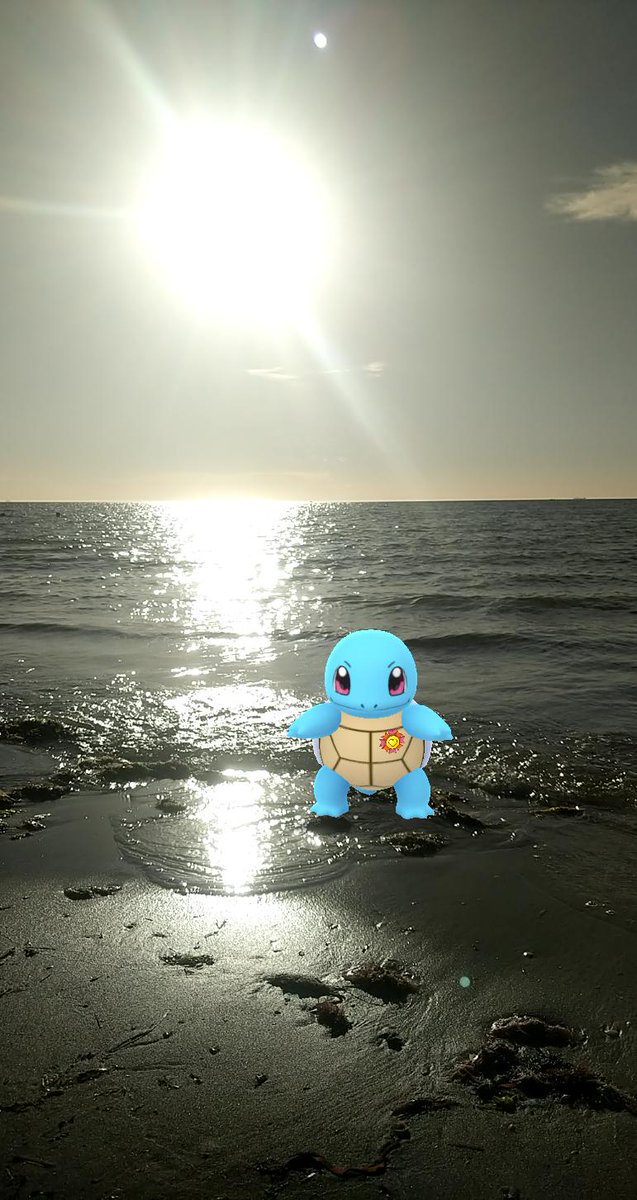 Lili_Bear26's tweet photo. Challenging myself to a 52 week AR Photo challenge. The first week is 'happy place' #beach #PokemonGO #pogoAR #PokemonGOar https://t.co/Ea37HPVS5F