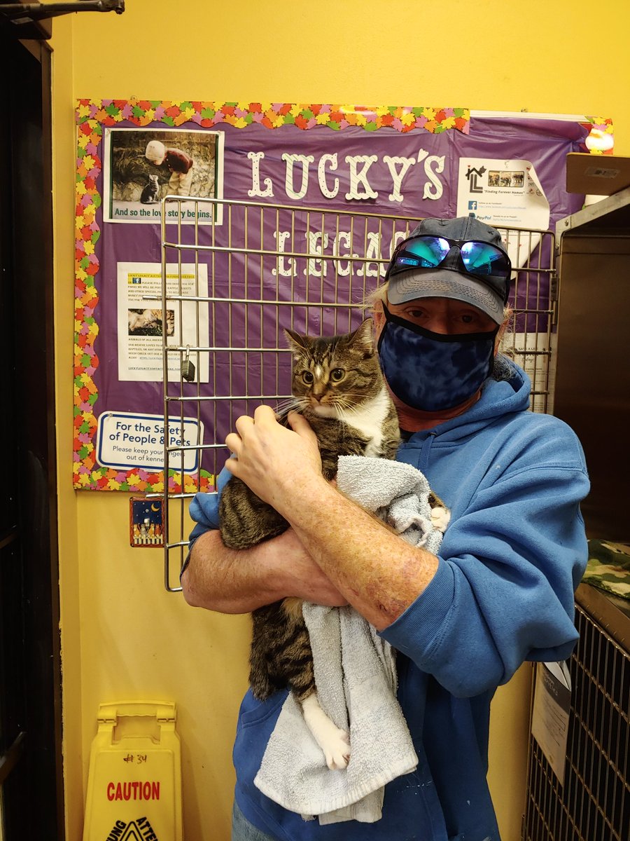 LegacyRescue's tweet photo. Our longest resident Diamond was adopted today!! https://t.co/soU9icvGkd