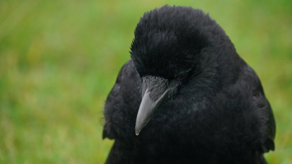 and here's "i don't want to"