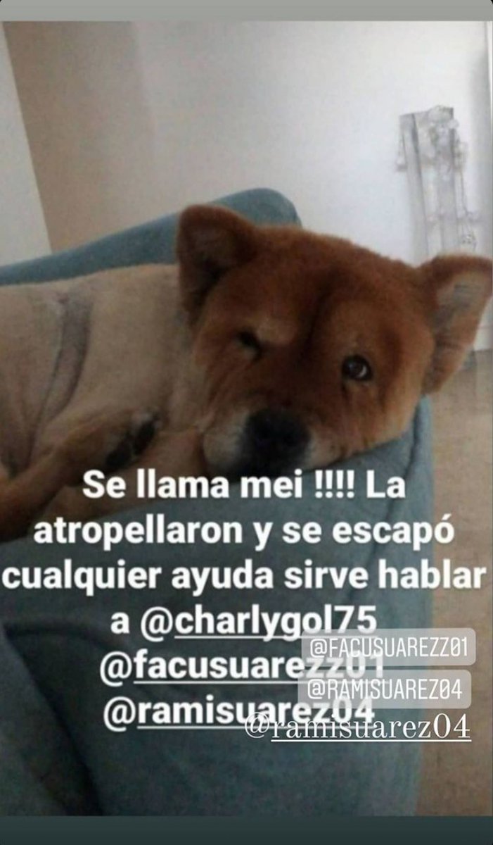 nicodiazmay's tweet photo. Cualquier cosa se sepan se agradece❤️ https://t.co/NNQP85E1V3