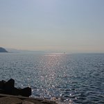 ツイートに含まれる画像