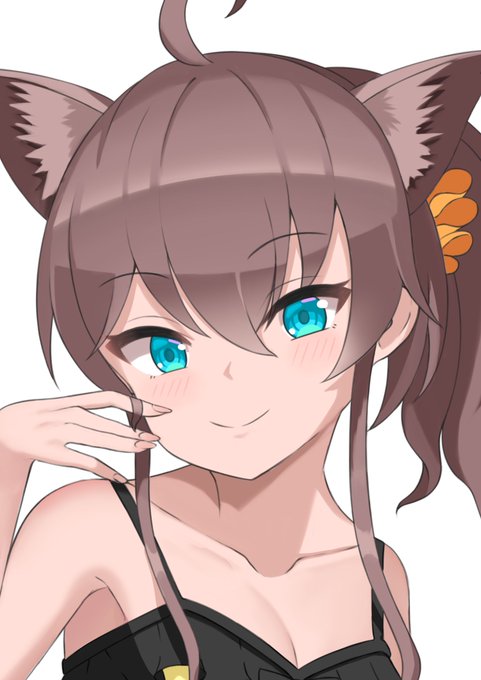 猫まつりちゃ #祭絵 