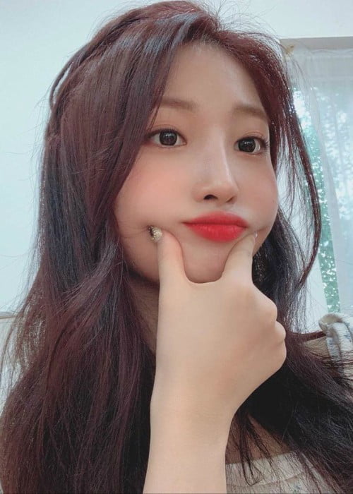 바카라