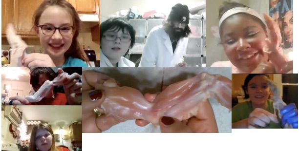 We had such a blast with our 7th grade virtual chicken wing dissection last week @AcademySjsd Here are just a few our smiling participants. Special thanks to all the parents that participated too!