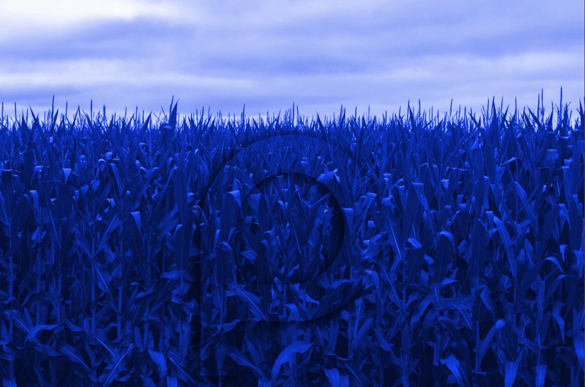 . @cointradernik I‘m ofcourse biased,however I do think  @ScPrimeCloud  $scp is an excellent lowcap  #altcoins. Project is focused on delivering a competitive  #S3-compatible  #cloud alternative for businesses. They‘ll be actually launching for product delivery with clients early Q1-21