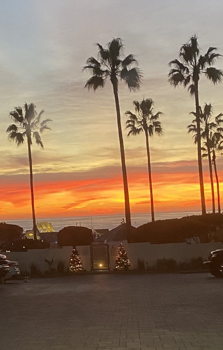 VBoardman10's tweet photo. #xmasinLA ππ½ https://t.co/2WPLN8lFr3