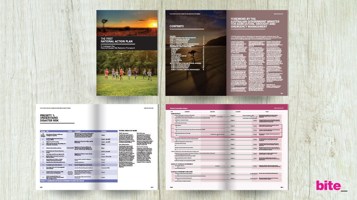 bitevisual's tweet photo. Department of Home Affairs The First National Action Plan National Disaster Risk Reduction Framework  #Department of Home Affairs #nationaldisasterriskreduction #Framework #emergency  https://t.co/cvyfidqI1q https://t.co/Ul3KCap3Vs