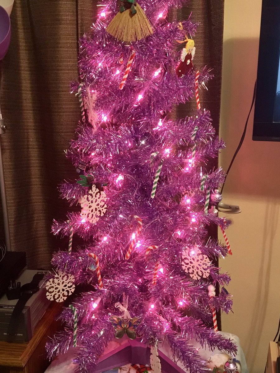 HollyWalter33's tweet image. Pretty purple💜🎄